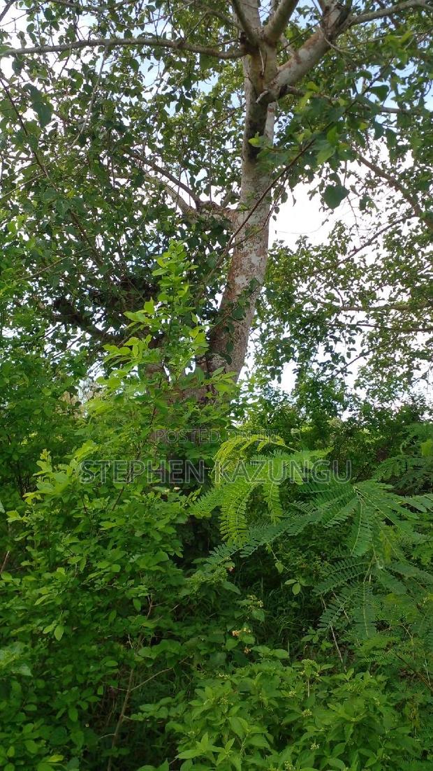 1 Acre Prime Plot on Sale at Kinondo in Ukunda Urban Zone. - thumbnail 5