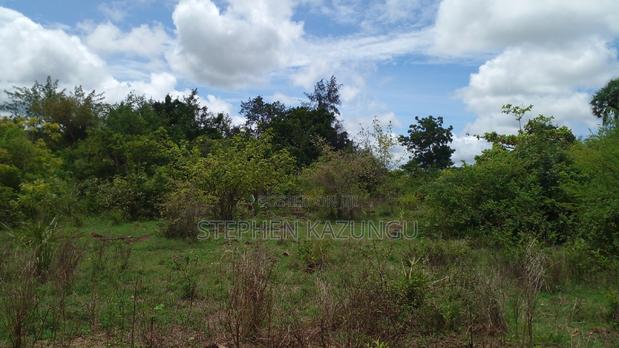 2 Acres Precious Plot on Sale at Corner Chale After Kinondo. - thumbnail 10