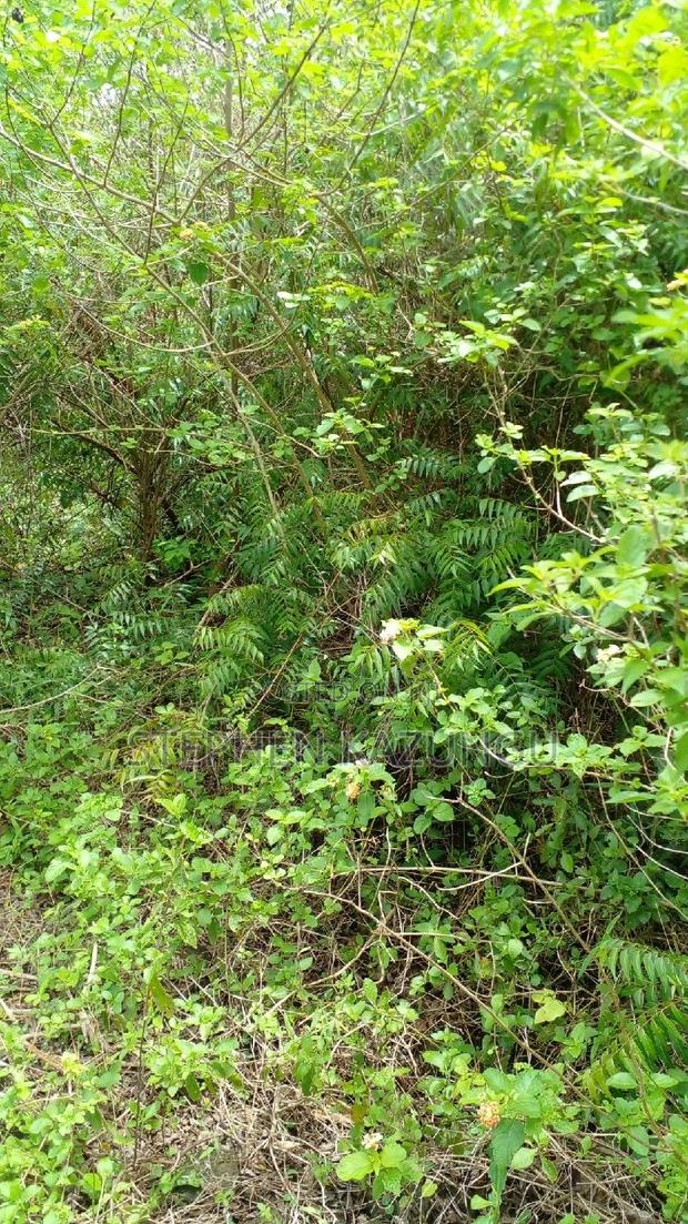 2 Acres Precious Plot on Sale at Corner Chale After Kinondo. - thumbnail 12