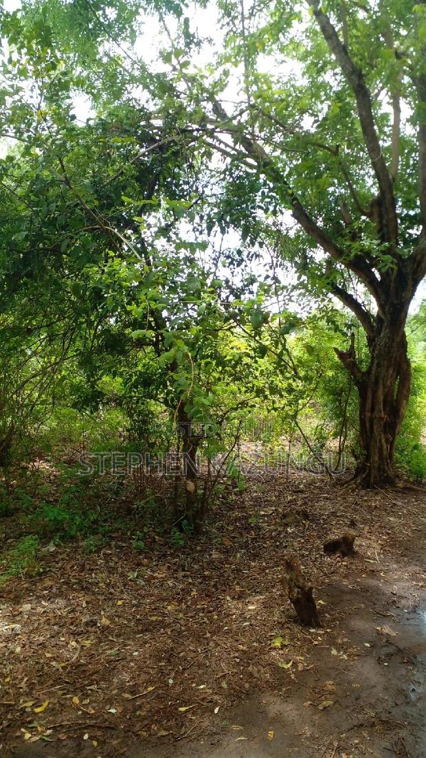 2 Acres Precious Plot on Sale at Corner Chale After Kinondo. - main view