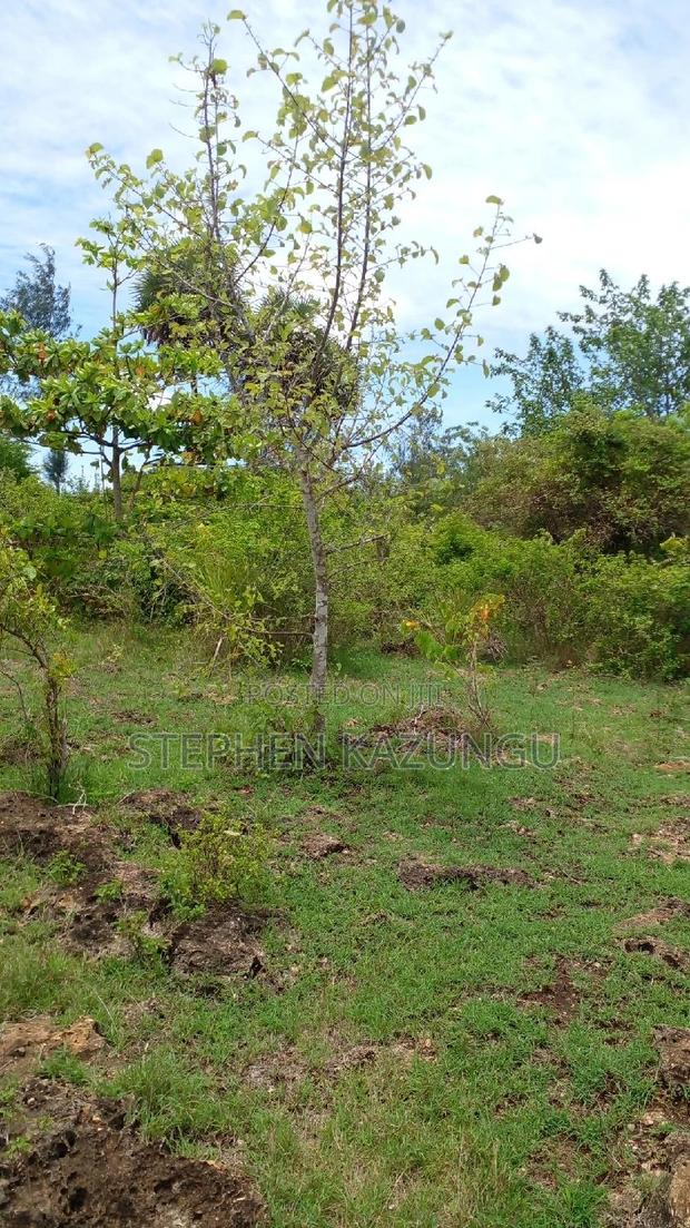 2 Acres Precious Plot on Sale at Corner Chale After Kinondo. - thumbnail 9