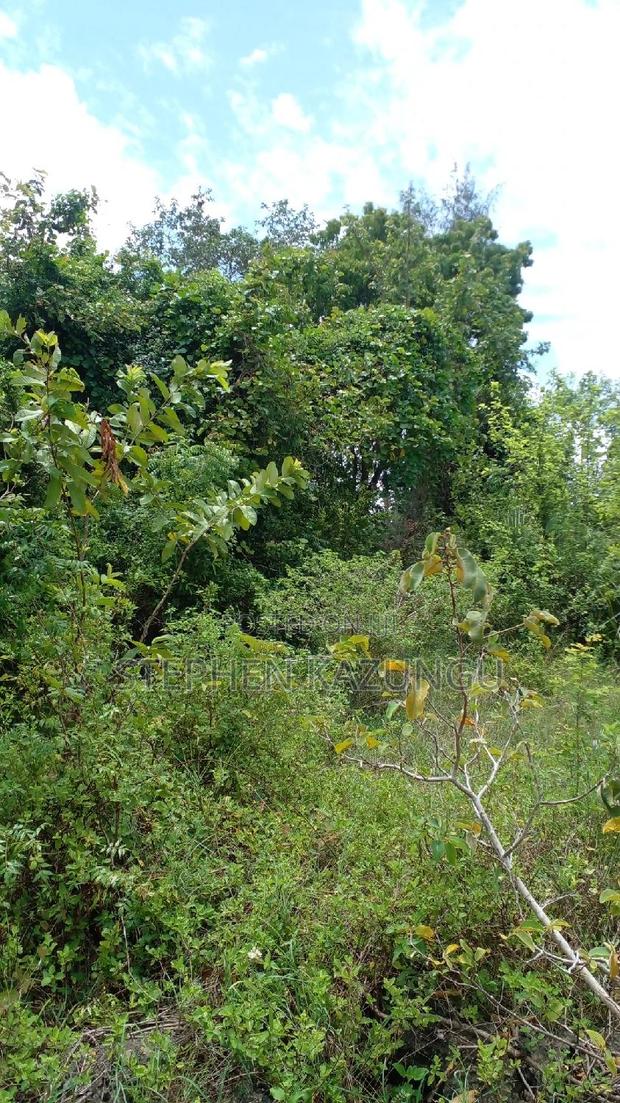 2 Acres Precious Plot on Sale at Corner Chale After Kinondo. - thumbnail 13