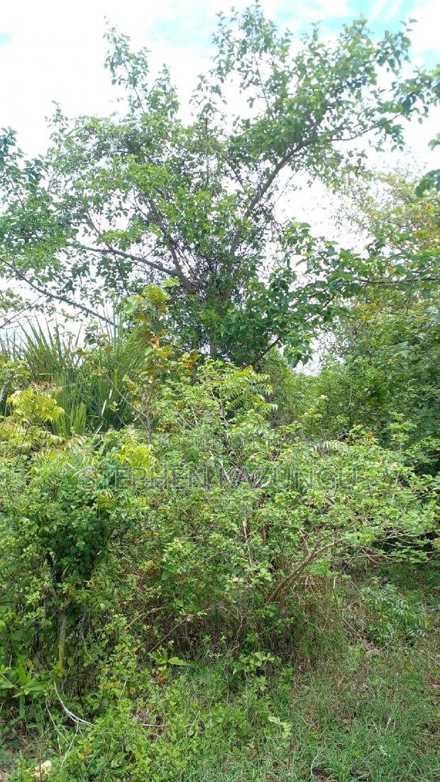 2 Acres Precious Plot on Sale at Corner Chale After Kinondo. - thumbnail 8