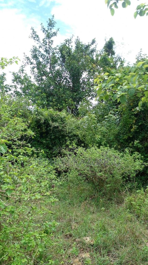 2 Acres Precious Plot on Sale at Corner Chale After Kinondo. - thumbnail 11