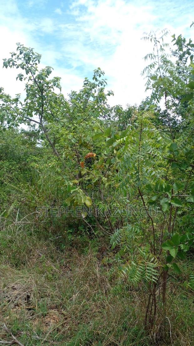 2 Acres Precious Plot on Sale at Corner Chale After Kinondo. - thumbnail 14