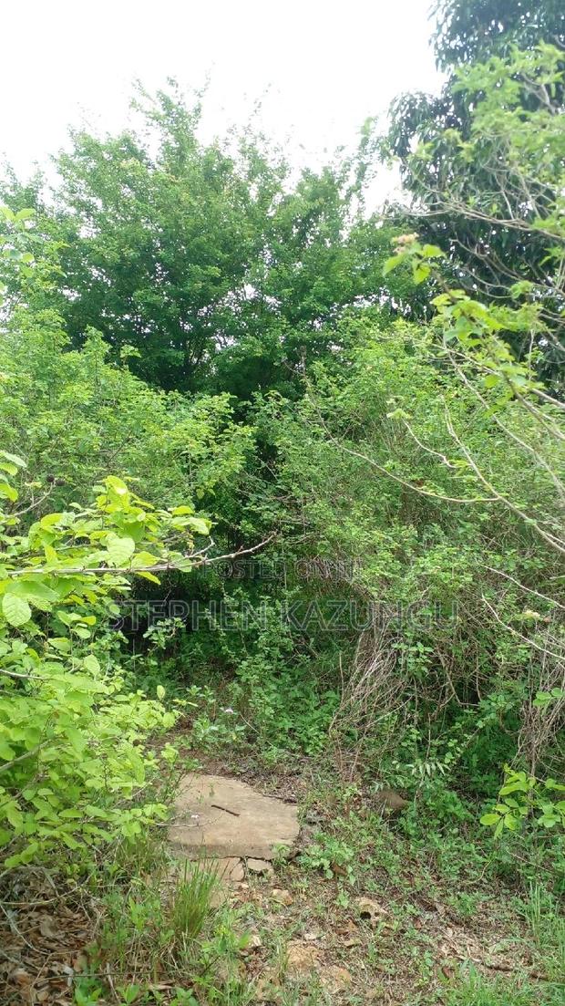 2 Acres Precious Plot on Sale at Corner Chale After Kinondo. - thumbnail 6