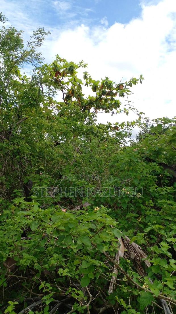2 Acres Precious Plot on Sale at Corner Chale After Kinondo. - thumbnail 16