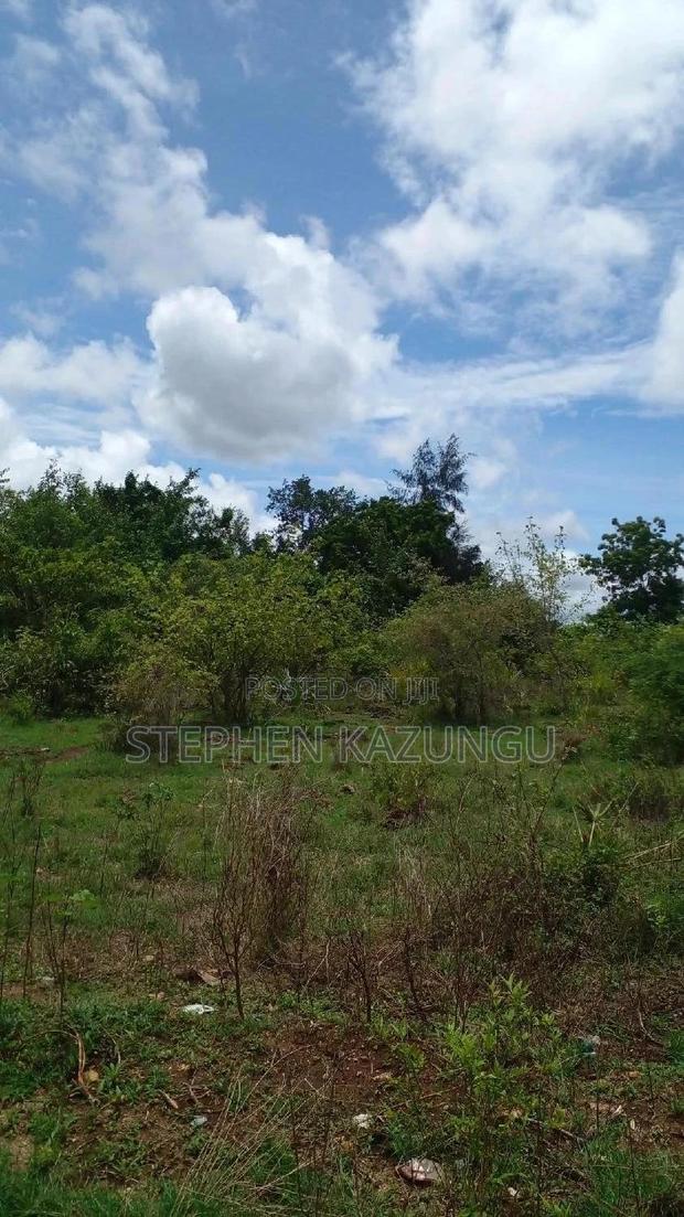 2 Acres Precious Plot on Sale at Corner Chale After Kinondo. - thumbnail 4