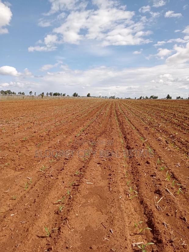 7 Acres With Title Merewet. - main view