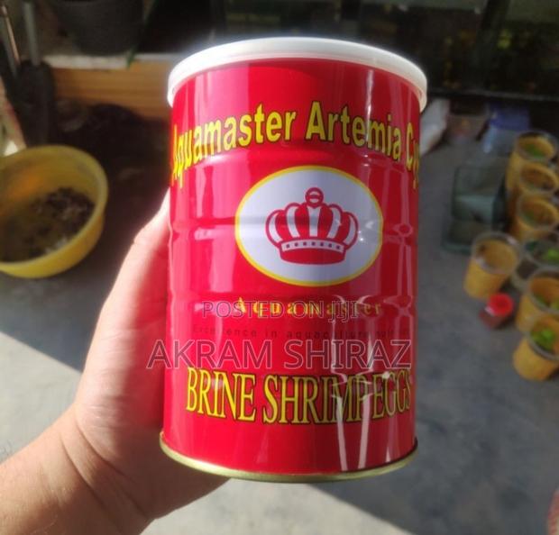 Aqua Master Hatachable Baby Brine Shrimp Artemia Cysts.