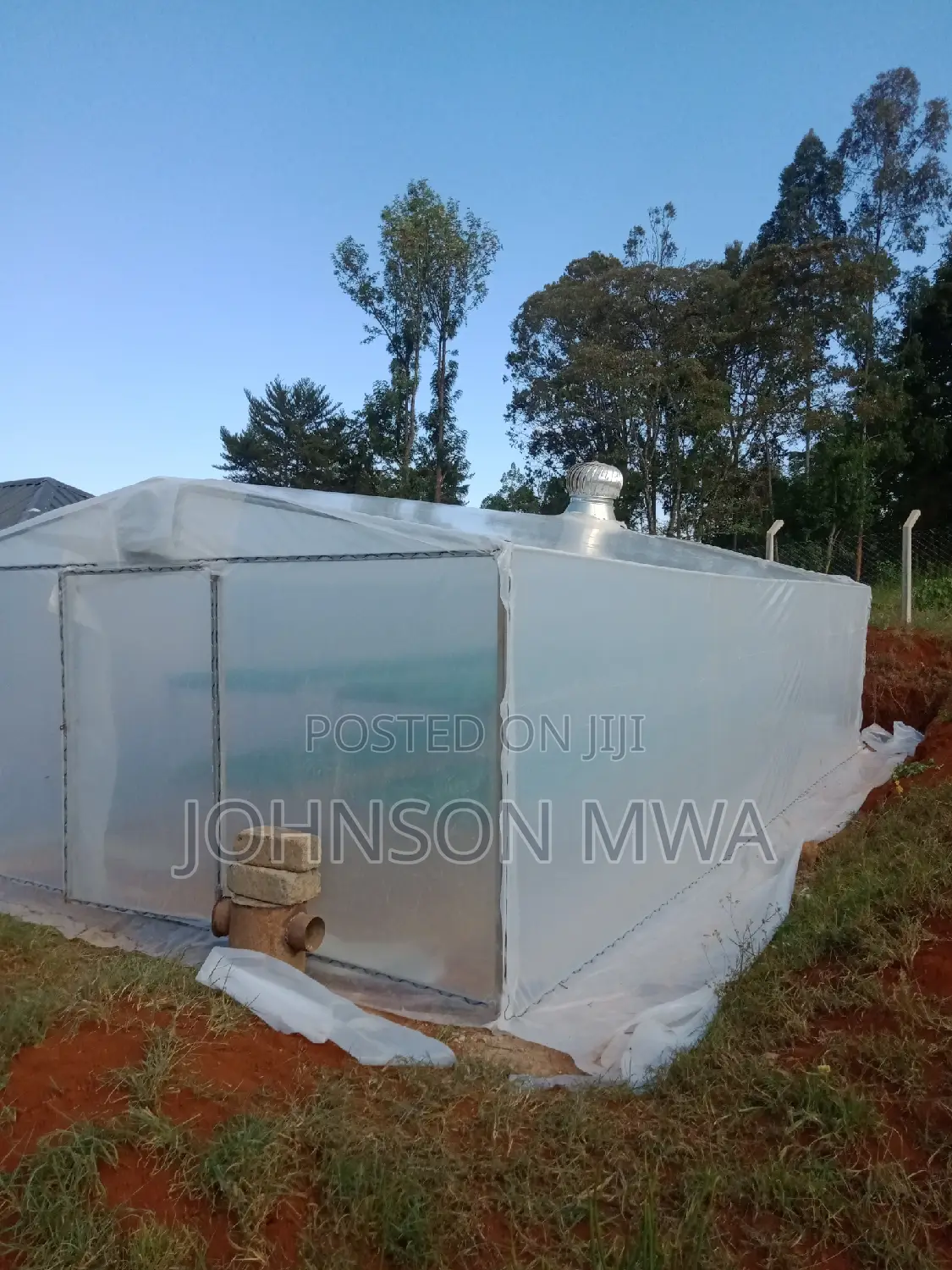 Solar Greenhouse Dryer