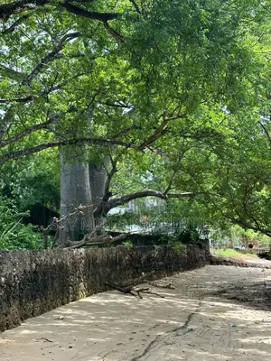 Serena 1/4 Acre Beach Plot for Sale