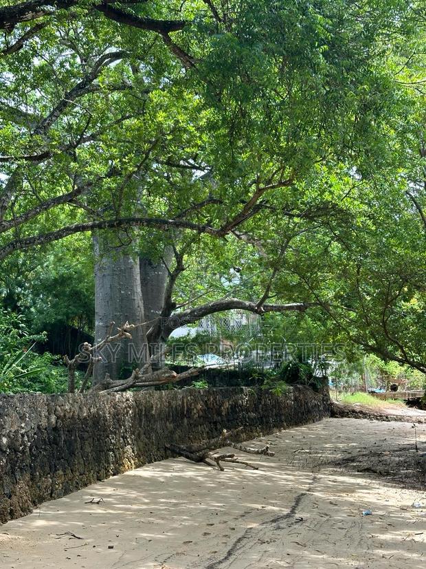 Serena 1/4 Acre Beach Plot for Sale - thumbnail 5