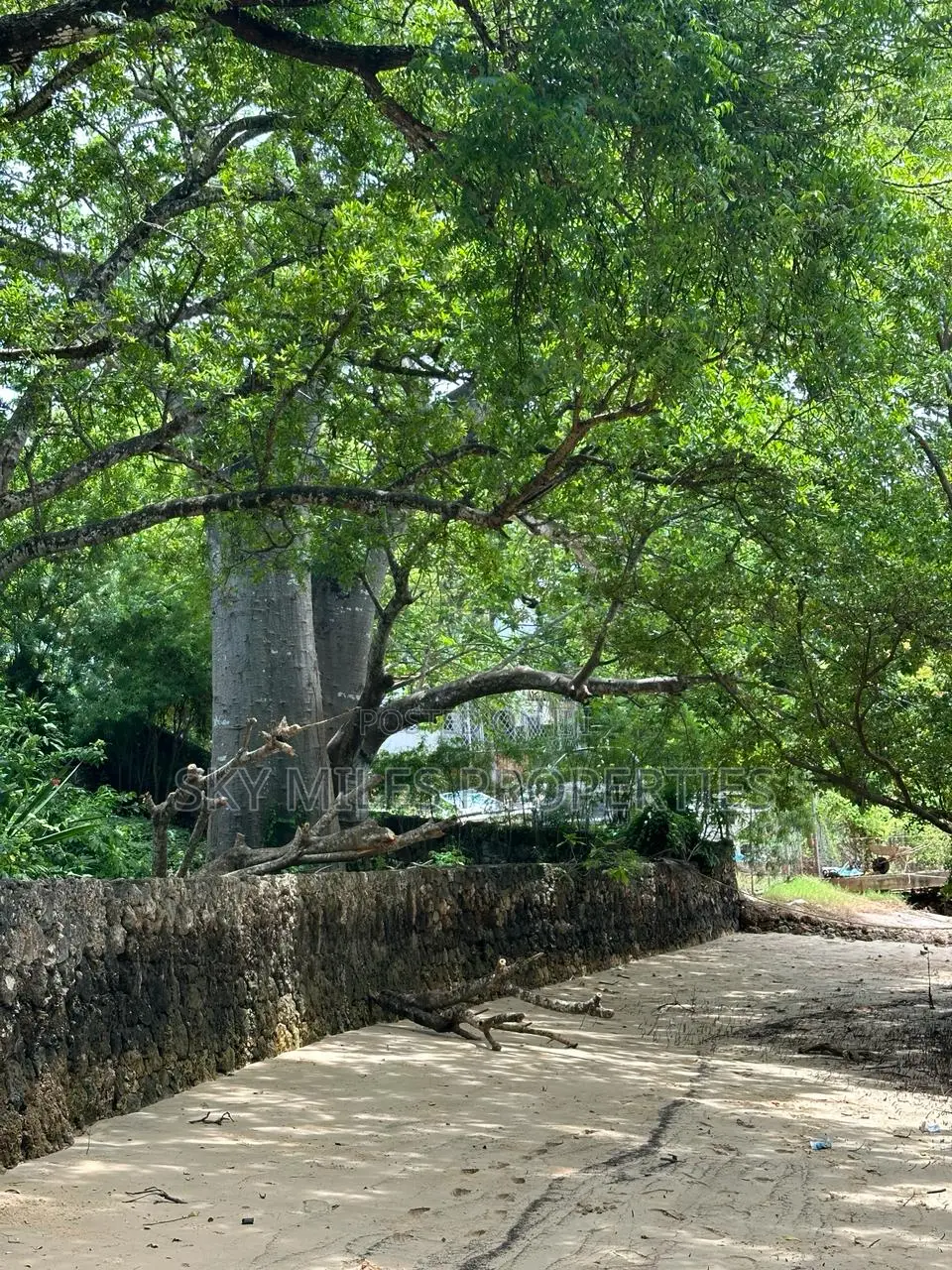 Serena 1/4 Acre Beach Plot for Sale
