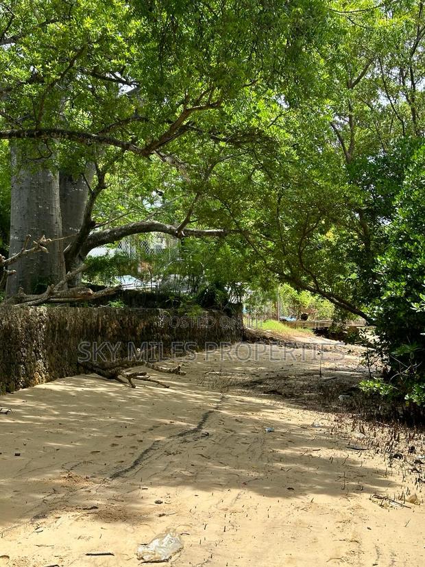 Serena 1/4 Acre Beach Plot for Sale - thumbnail 6