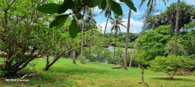 Serena 1/4 Acre Beach Plot for Sale - thumbnail 7