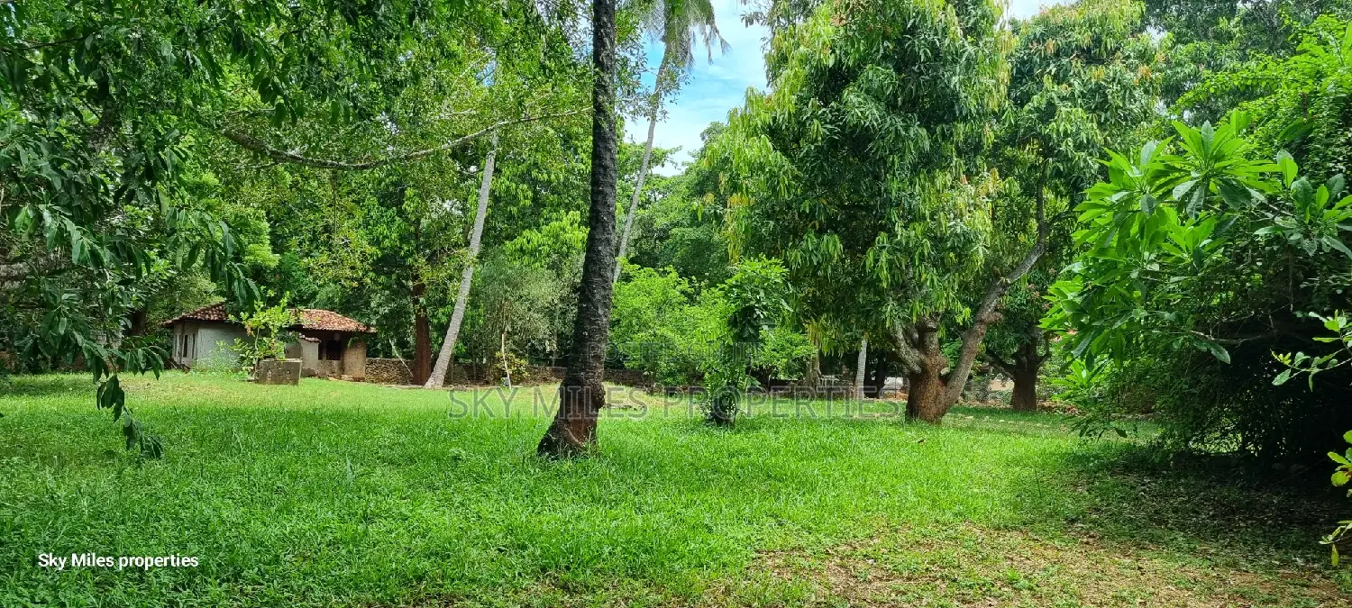 Serena 1/4 Acre Beach Plot for Sale