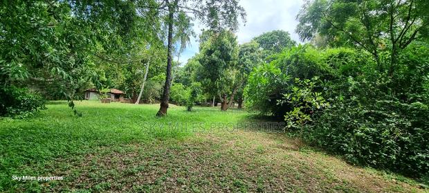 Serena 1/4 Acre Beach Plot for Sale - thumbnail 10