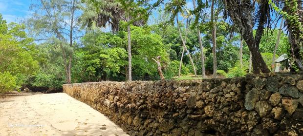 Serena 1/4 Acre Beach Plot for Sale - thumbnail 19