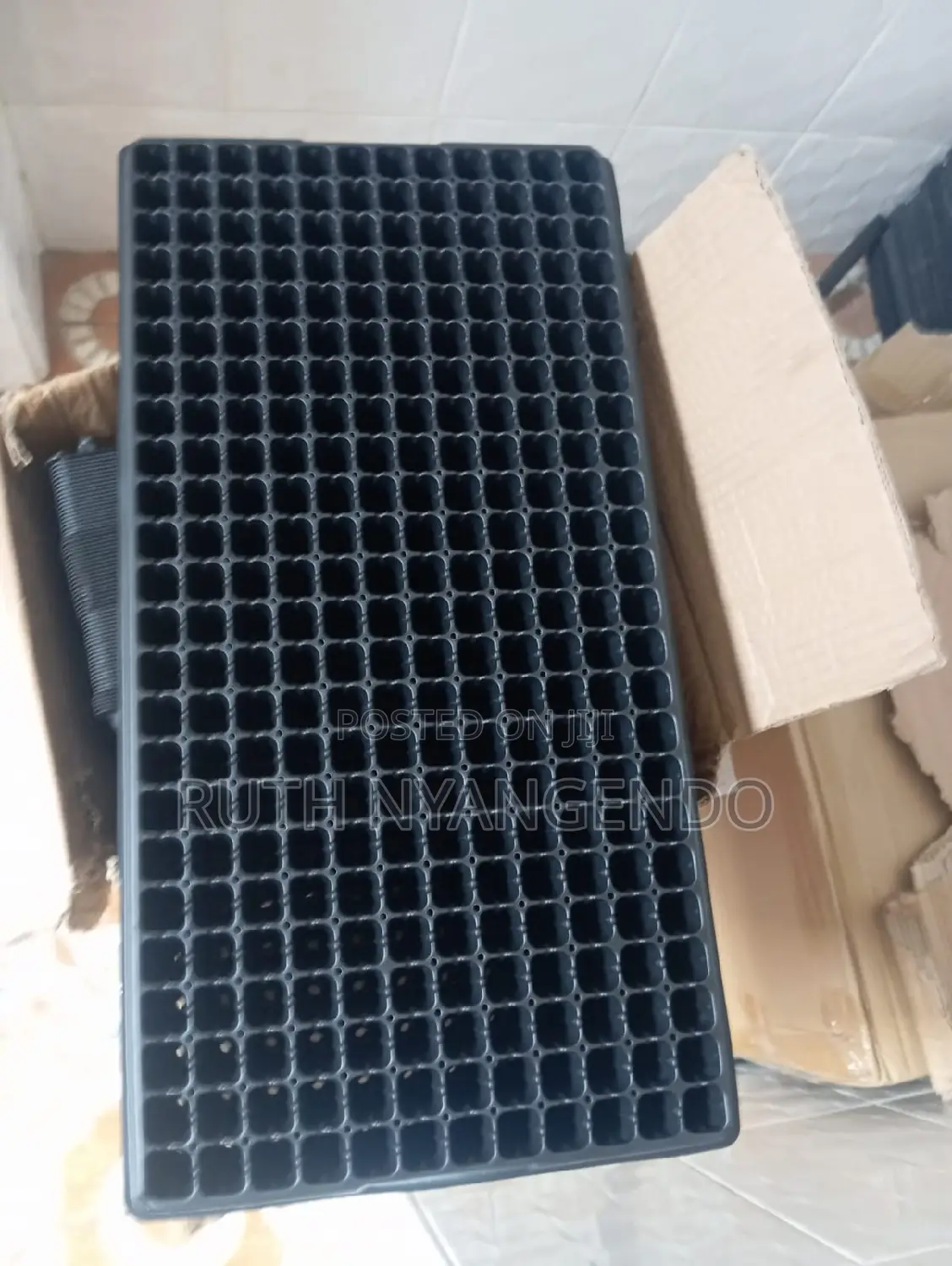 Propagation Trays