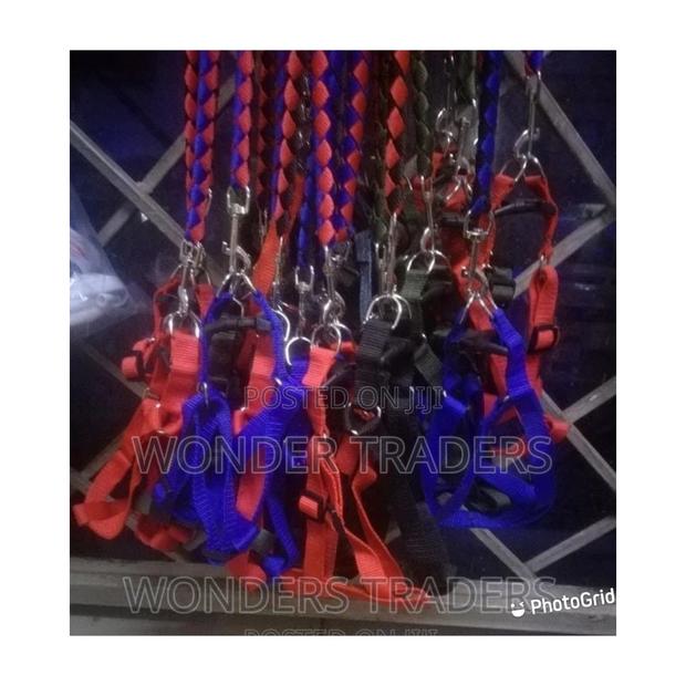 Dog Leash Dog Leash Available - main view