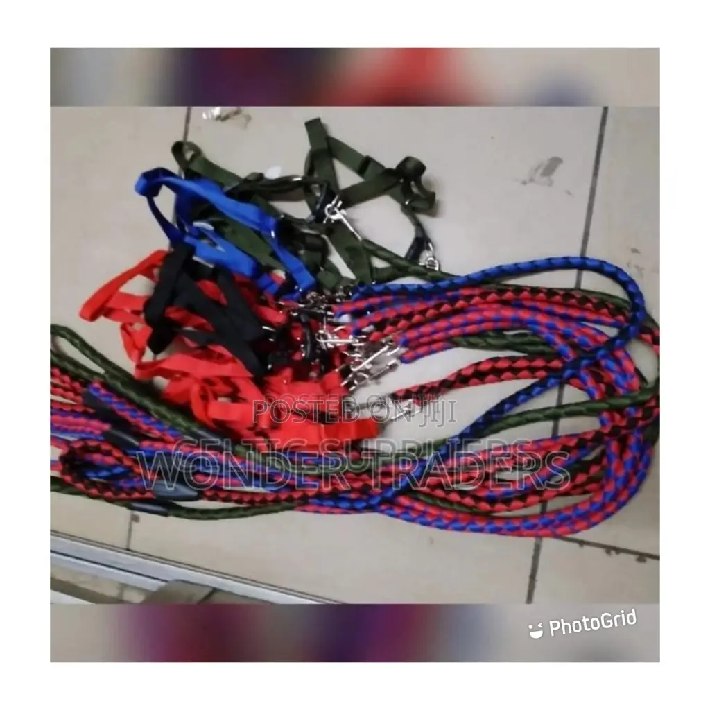 Dog Leash Brand New Quality Dog Leash at Affordable Price