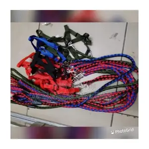 Dog Leash Brand New Quality Dog Leash at Affordable Price
