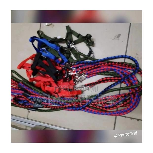 Dog Leash Brand New Quality Dog Leash at Affordable Price