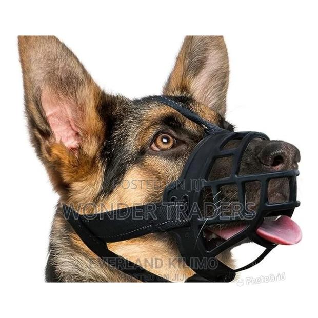 Dog Muzzle - Basket Muzzle - main view