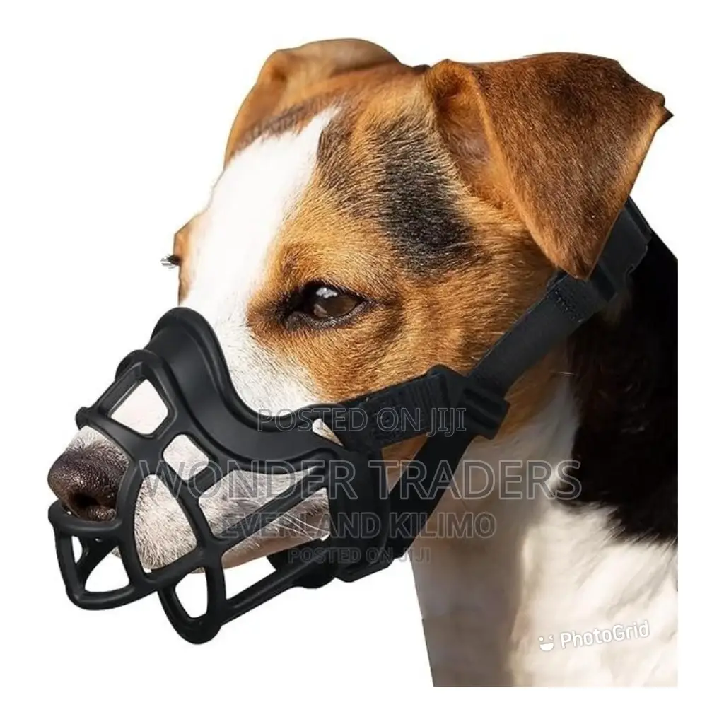 Dog Muzzle, Dog Muzzle