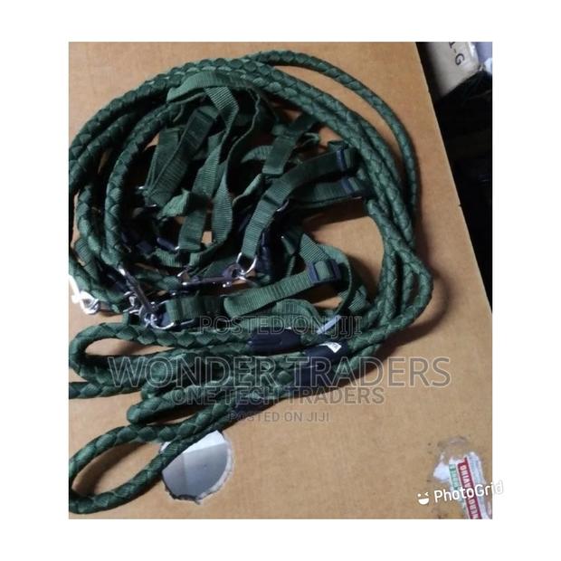 Dog Leash, 1.5m Long, Synthetic Material - main view