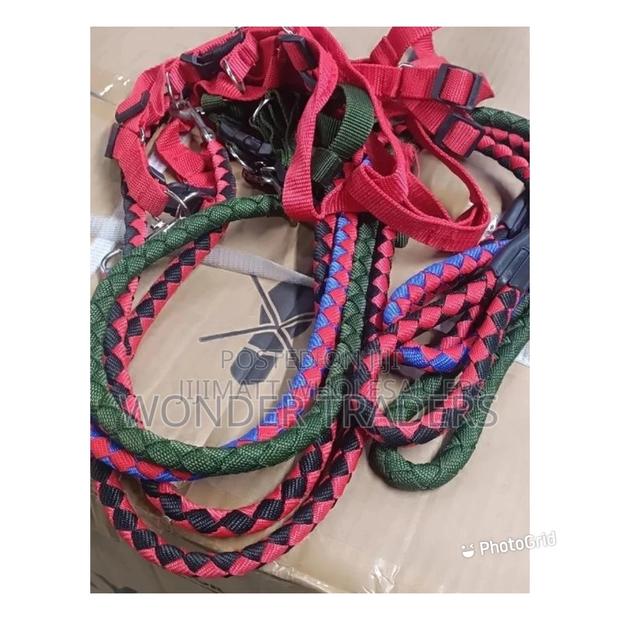 High Quality Medium Size Dog Leash - main view