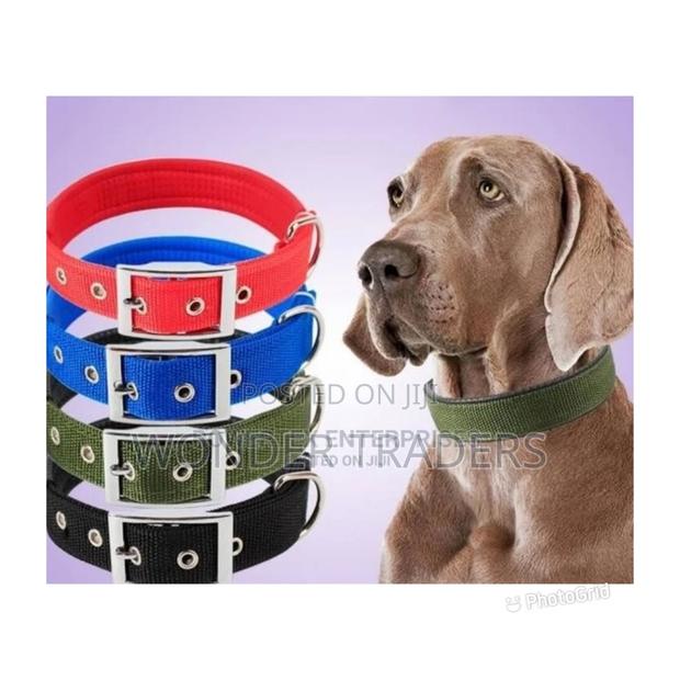 Regular Dog Padded Collar - main view