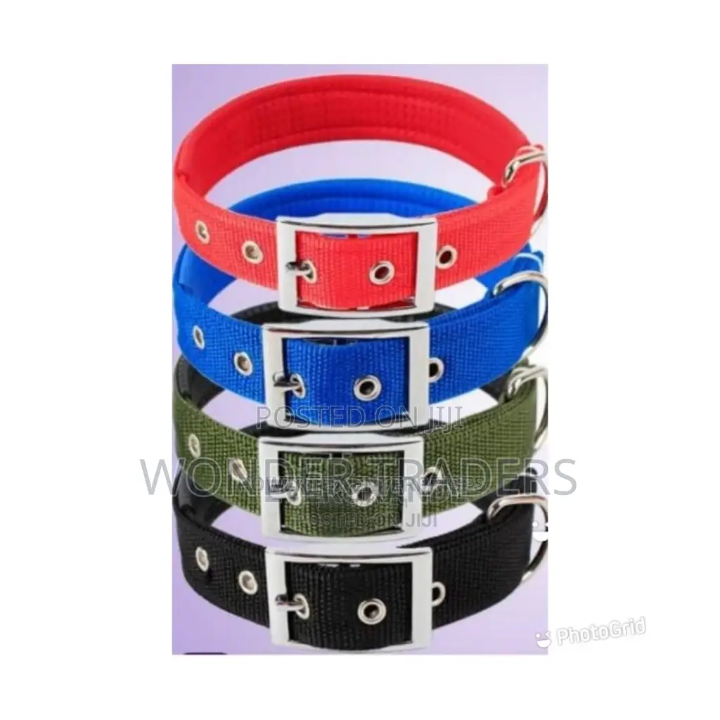 Dog Collar,Dog Collar,Dog Collar