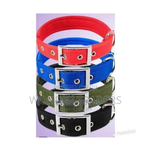 Dog Collar,Dog Collar,Dog Collar - main view
