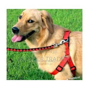 Dog Leash With Harness - thumbnail 2