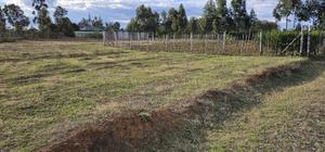 Prime Plots for Sale in Illula After Kapsoya in Eldoret - thumbnail 2