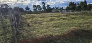Prime Plots for Sale in Illula After Kapsoya in Eldoret