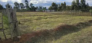 Prime Plots for Sale in Illula After Kapsoya in Eldoret