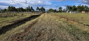 Prime Plots for Sale in Illula After Kapsoya in Eldoret