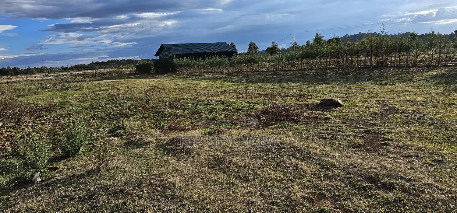 Prime Plots for Sale in Illula After Kapsoya in Eldoret