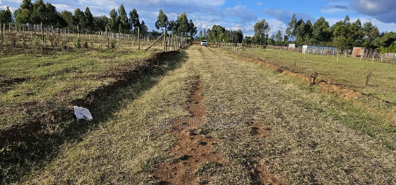Prime Plots for Sale in Illula After Kapsoya in Eldoret
