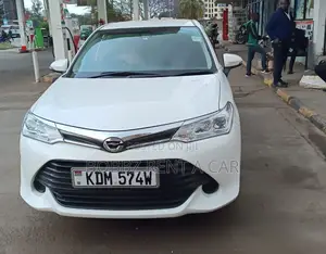 Toyota Fielder for Rental