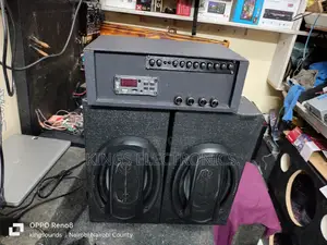 Amplifier With Midranges