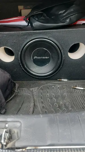 Pioneer 30s4 1400watts Single Coiled 12inces.