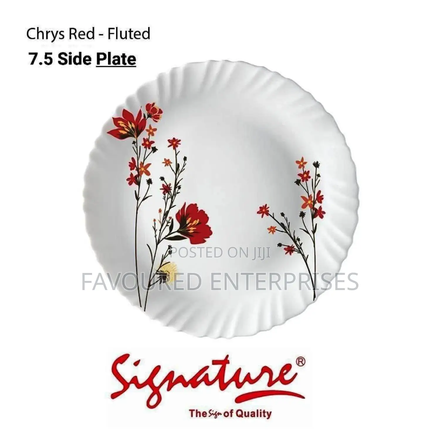 6 Piece Signature Dinner Plates