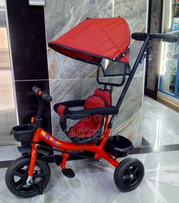 Push Tricycle With Canopy - main view