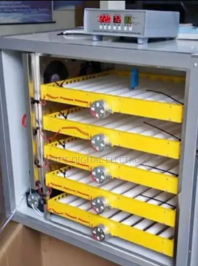 Durable 500 Automatic Egg Incubator