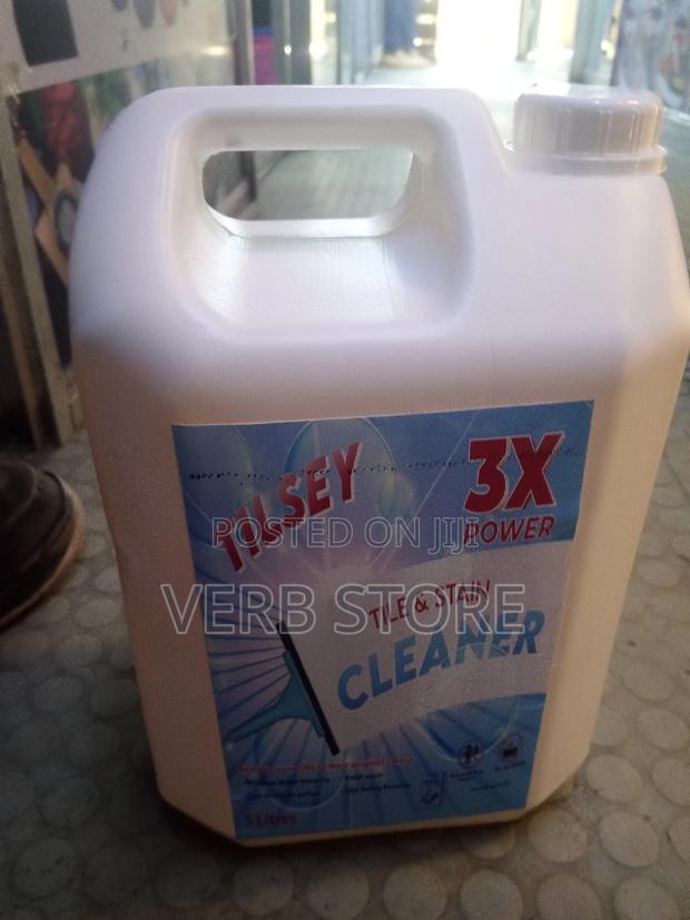 Efficient Tiles Cleaner - main view