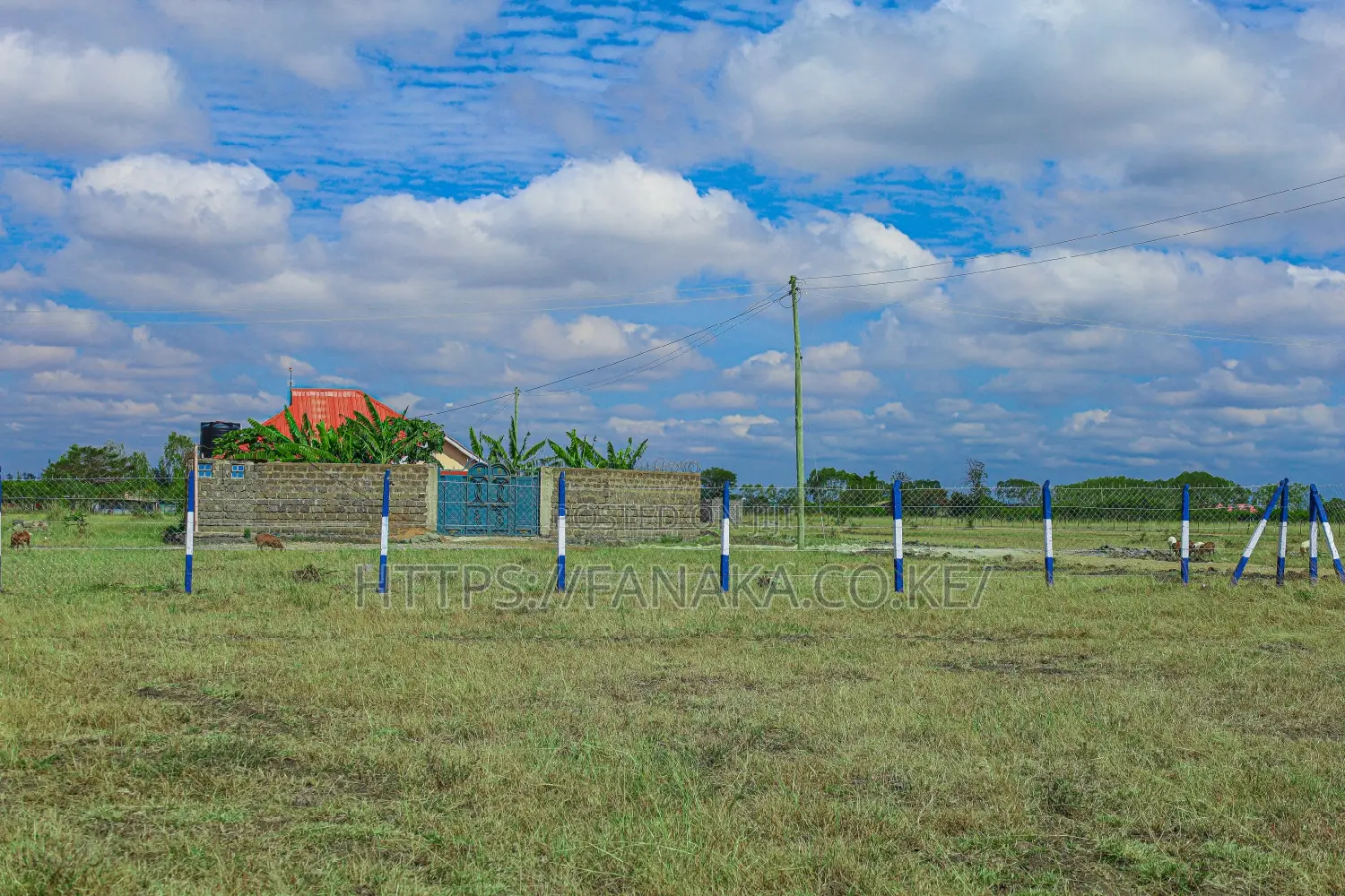 Strategic Plots in Jujafarm ^KK